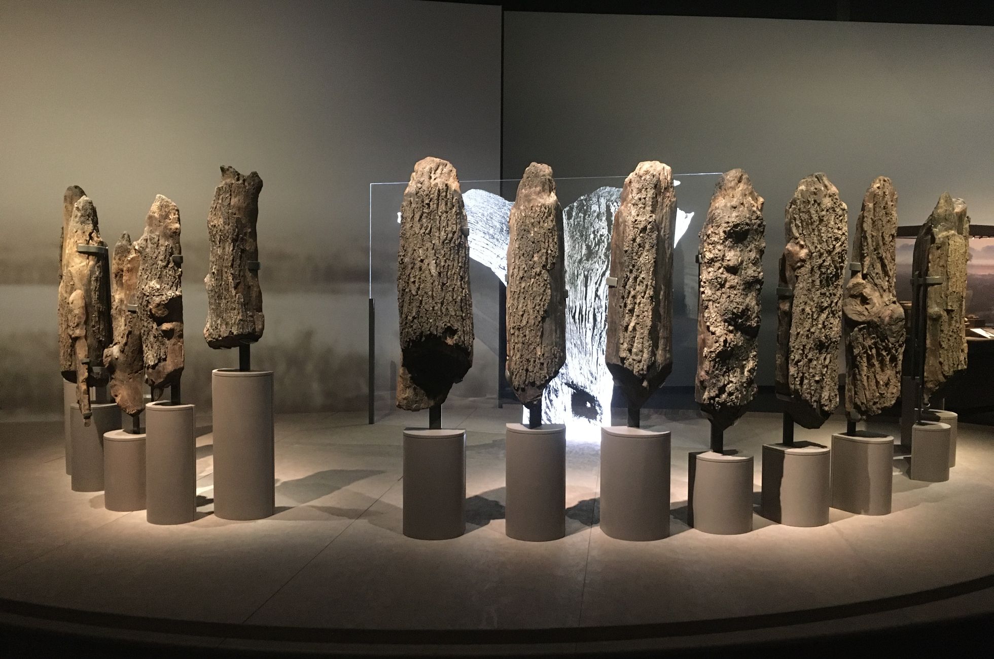 Bois de construction en bois (Seahenge) exposé dans l'exposition du British Museum, Le monde de Stonehenge